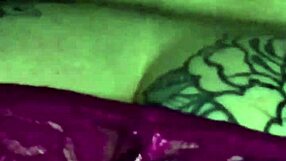 Neon Flamingo Season 5 Full Episode Collection