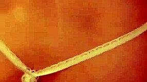 vietnamese wife bent over taking hard doggystyle pounding from behind in intense session