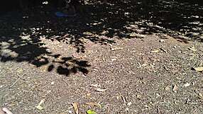 Brazilian Fat Tits Ass Babes Expose Huge Curves in Public Parks