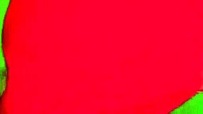 i swallow your roman candle cumshot happy 4th fireworks