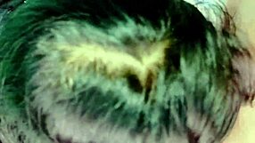 hot desi couple licks shaved pussy romantic before creampie doggystyle