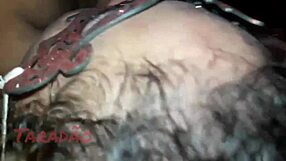 Fat submissive wife licks ass while cuckold watches her saggy tits bounce