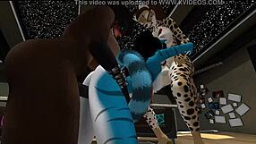 sunny's getting her holes stuffed by two furry shemale cocks in wild 3some 😩🍆💦