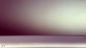 hey you hear those hot fucking sounds from my window right now?