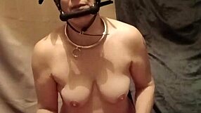 French Slave's Ponygirl Uro Session Shocks Outdoors