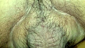 Hairy Pussy Gets Fucked Creamy