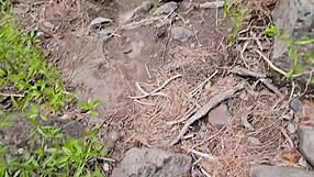 they sneak backshots by the river in a steamy outdoor quickie flashing curvy asses