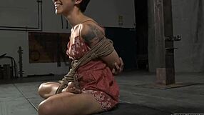 wanna explore these twisted sadomasochism kinks with me right now?