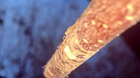 Witch Bent Over for Big Cock in Forest