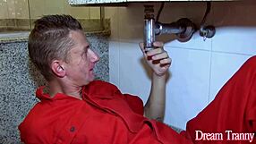 guy barebacks tgirl cacau dipaula's ass before she rides his cock creampie