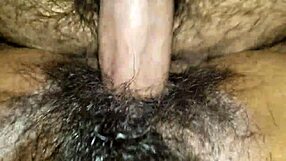 Hairy Pussy Gets Fucked Creamy