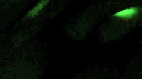 dirty fucking my hairy black wet pussy hard