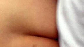 i'm your school counselor today