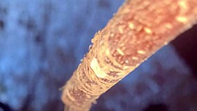 Witch Bent Over for Big Cock in Forest