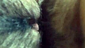 i love closeup pounding my friend's hairy indian wife's wet beaver and clit hard