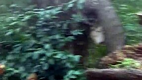 WOW! BLONDE GF DEEPTHROATS BBC IN PUBLIC WOODS ADVENTURE!!