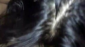 i give my nerdy wife the best blowjob she craves cheating