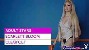 wow check out skinny blonde ebony scarlett bloom stripping her big natural boobs