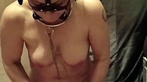 hey watch this french maid ponygirl get bound and humiliated outdoors