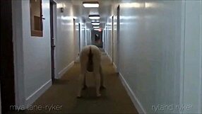 have you seen slutty wife compilation with big cocks big asses and tits?