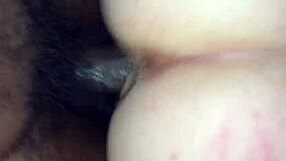 pawg stepsis demands brutal backshots from alien69pornstar