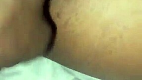 afroking unwraps her fat black pussy as christmas gift from curvy neighbor