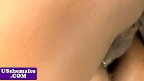 Latina shemale's tight ass teases before bathroom anal pounding