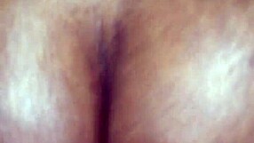 Shemale trades cock pounding crossdresser ass in Tampa Florida