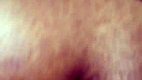 Shemale trades cock pounding crossdresser ass in Tampa Florida