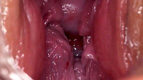 Time to Breed Big Ass Shaved Pussy with Hardcore Thrusts