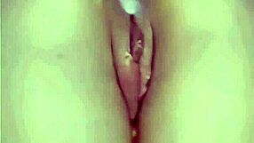 preparing my fat latina ass for neighbor's rough toy pounding and deep fuck