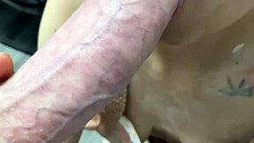 hey stepmoms friend baked that creampie she licks chocolate then rides your cock in tight pussy