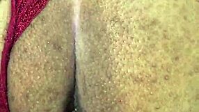 i can't resist the moray eel's captivating intense gaze