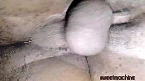 Sweetmachine Update 8 Grove Sex1 Big Cock Milf Homemade Blowjob Machine Fuck Jan 20 2025