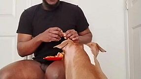 llamasr update 1 with solo food prep on mar 18 2025