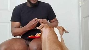 llamasr update 1 with solo food prep on mar 18 2025