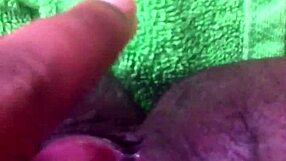 fresh from shower i play with my fat hairy black pussy clit