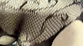 Wife's Friend Finally Spreads Legs for My Cock in Lingerie