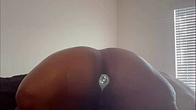 ava knightly plugs big ebony ass begging daddy for anal cum!