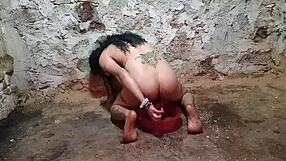 Teasing Anal Fun With A Pickle Up That Ass