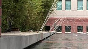 brooke haven horny milf librarian fucks deepthroat doggystyle in fishnets heels