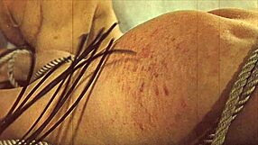 MY SECRET Vintage BDSM Punishments TOP 20 Bound Hairy Sluts!