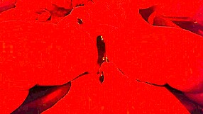 Bbw Wife Drilled Hard by Sawzall Toy Multi Squirting Orgasms Moaning Loud