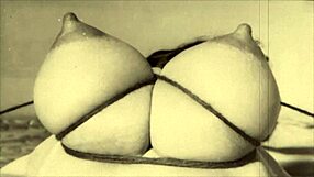 MY SECRET Vintage BDSM Punishments TOP 20 Bound Hairy Sluts!