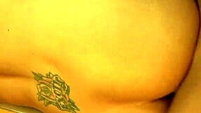 brooke haven horny milf librarian fucks deepthroat doggystyle in fishnets heels