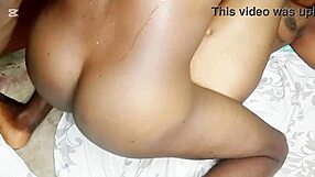 whoa, this african dude worships that juicy black ass indoors before pussylicking! 🍑👅