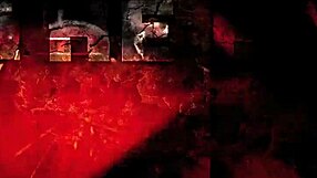 Vintage Erotic Art Collection