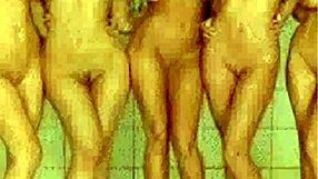 Fake Celebrity Nude Slideshow Features Prostitute Anal Assfucking