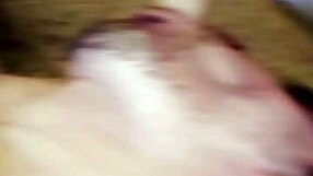 hey paulista wanna lick my carioca ass then fuck it raw?