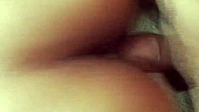 My fun times with porn star pop stars